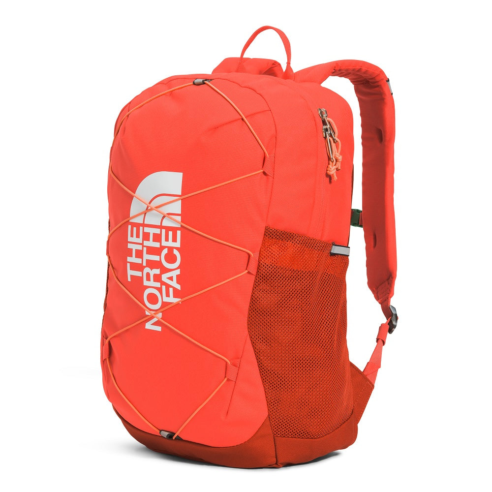 Coral north store face backpack