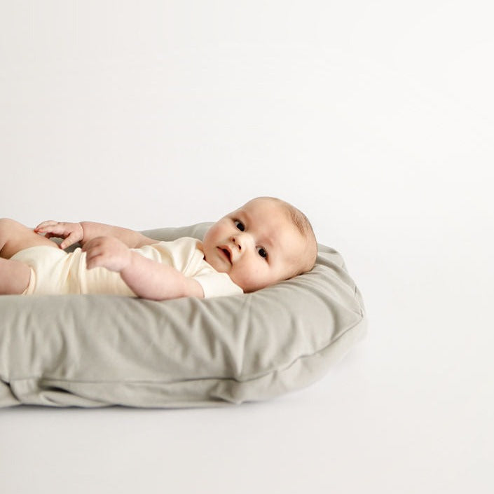 Snuggle Me Organic Infant Lounger Cover Stone babyandme