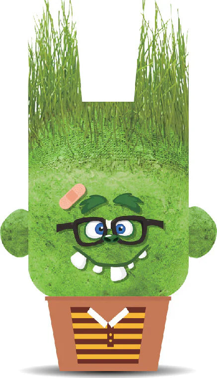 Hape Plant Pals Monster