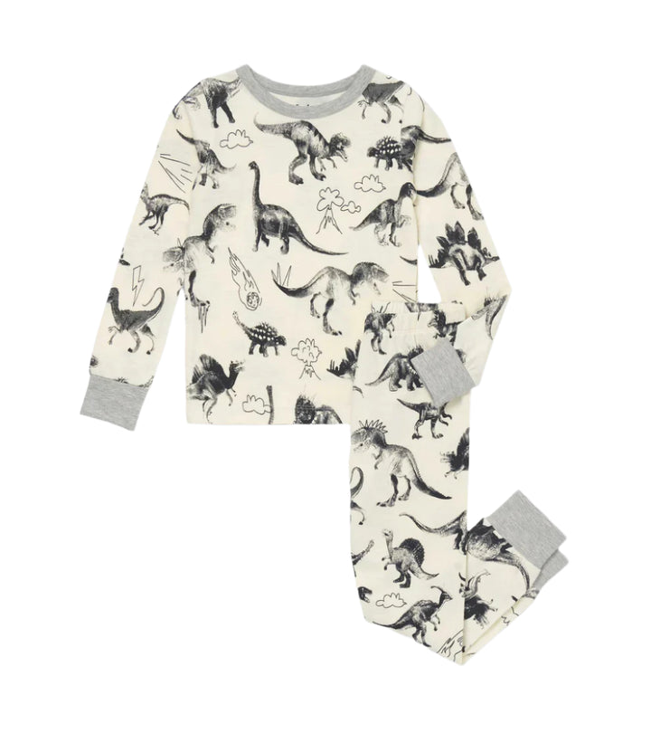 Hatley Pajama Set (Dino Extinction)