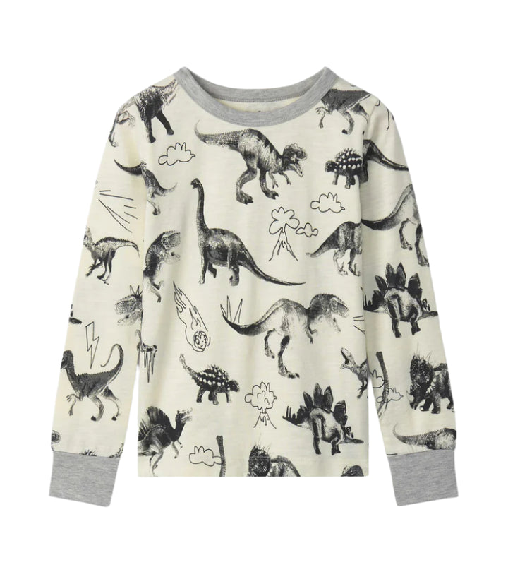 Hatley Pajama Set (Dino Extinction)