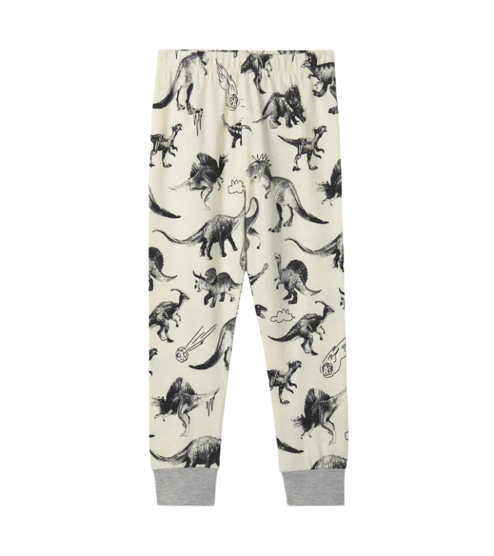 Hatley Pajama Set (Dino Extinction)