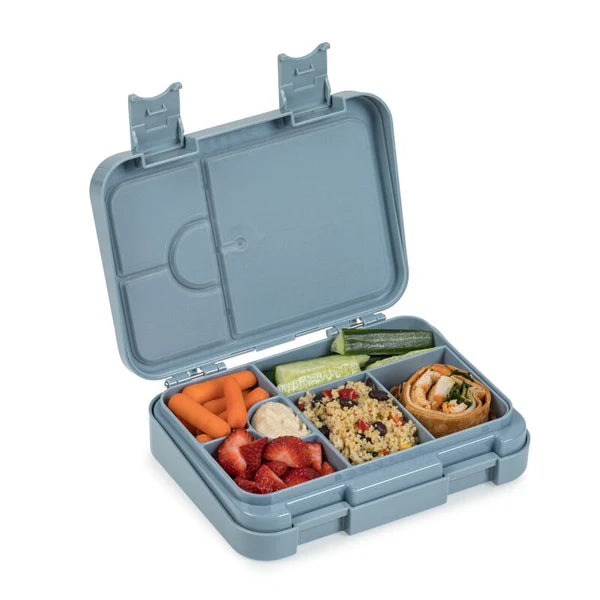 noüka Bento Chill Lunch Box (Dino)