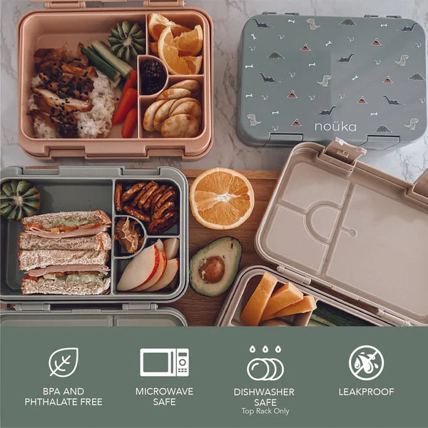 noüka Bento Chill Lunch Box (Dino)