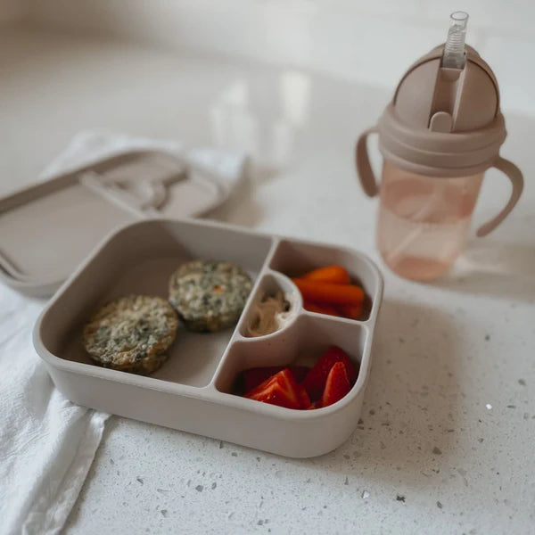 noüka Medium Silicone Sealed Lunch Box (Leaf)