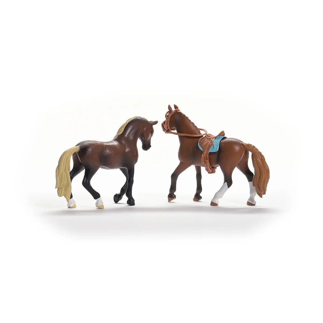 Schleich Paso Peruano Starter Set