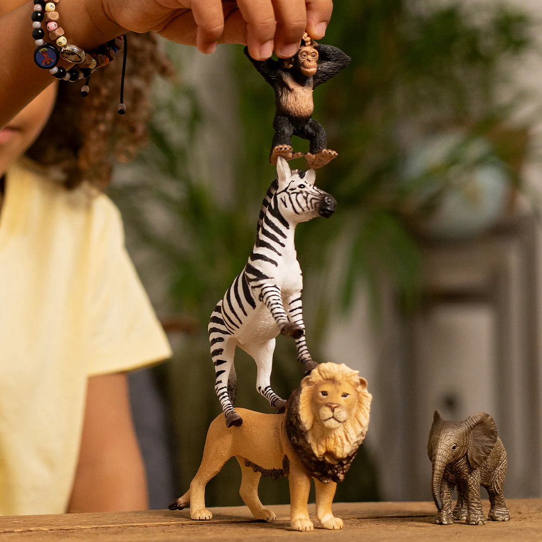 Schleich Wild Life Africa Starter Set