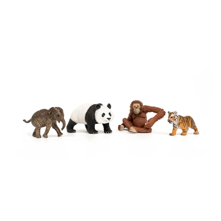 Schleich Wild Life Asia Starter Set