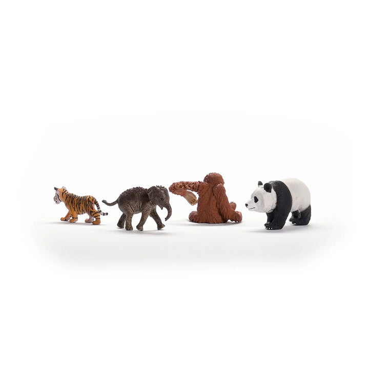 Schleich Wild Life Asia Starter Set