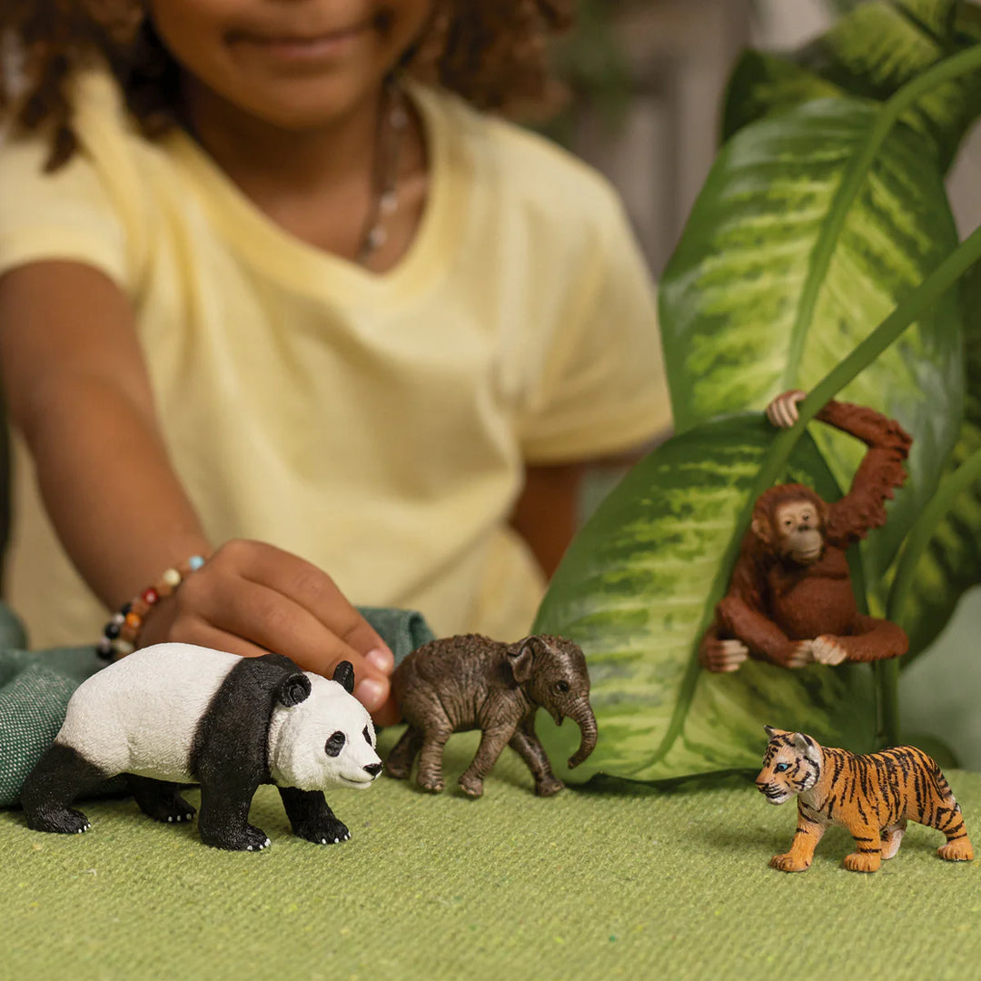 Schleich Wild Life Asia Starter Set