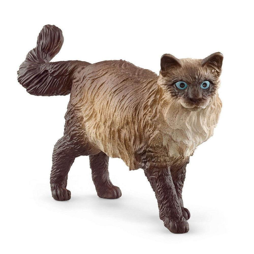 Schleich Ragdoll Cat-Toys & Learning-Schleich-008162 RC-babyandme.ca